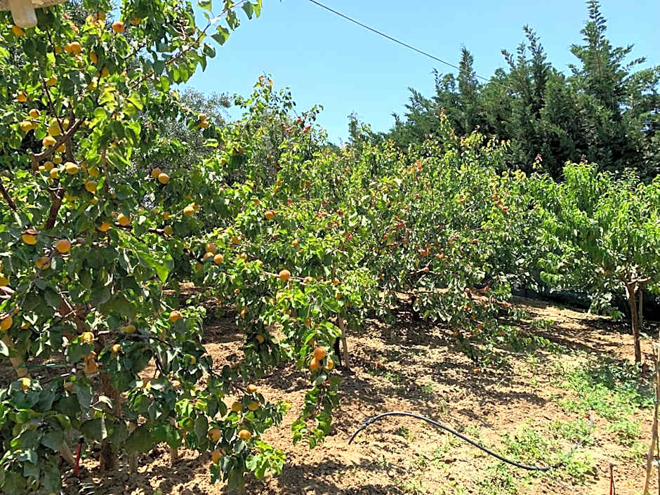 Villa Paradise in Naxos