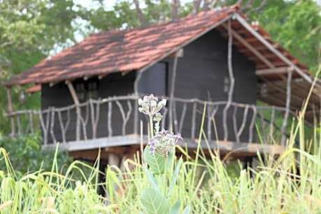 Eagles Wing's GuestHouse
