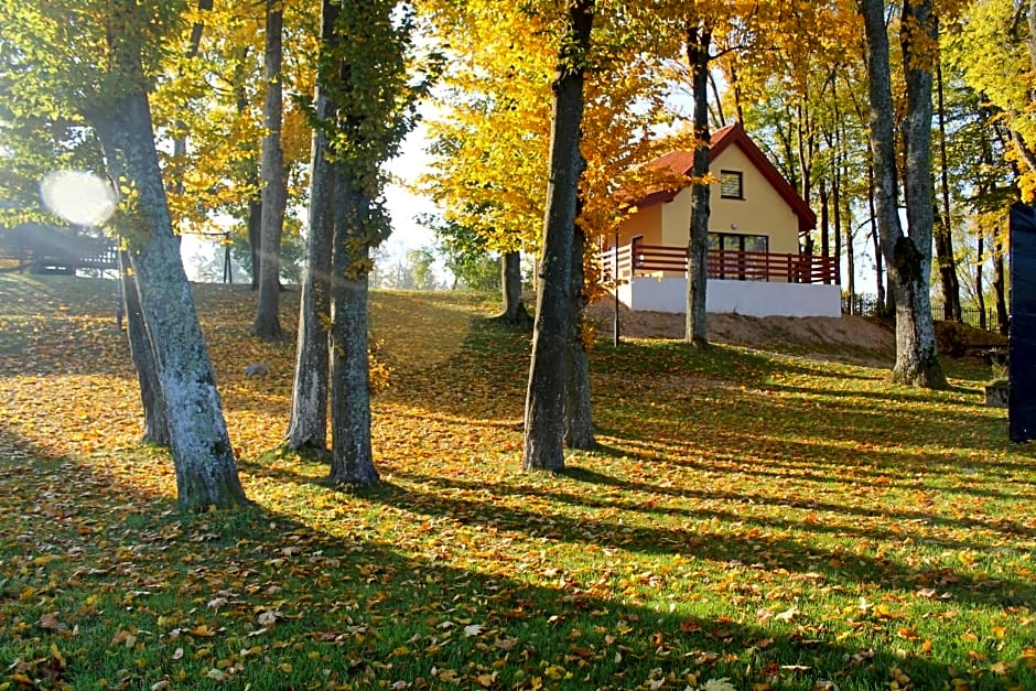Domki w porcie Zielony Gaj