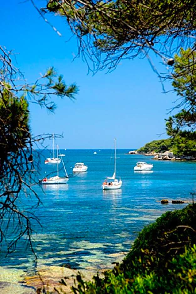 Résidence Residéal Premium Cannes