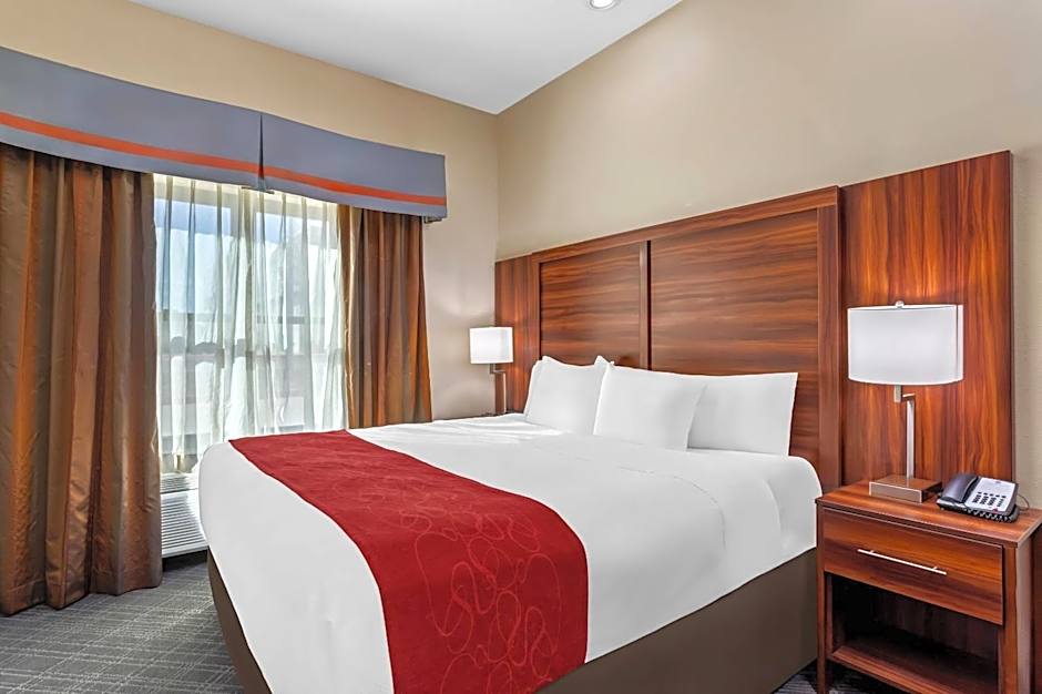 Comfort Suites Roswell North