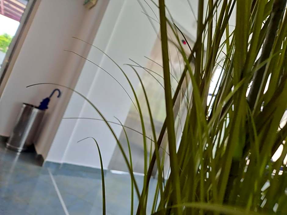 Excelsior Hotel Timisoara