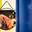 Ibis Styles Saumur Gare Centre Hotel