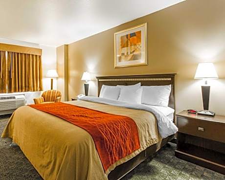 1 King Bed, Nonsmoking