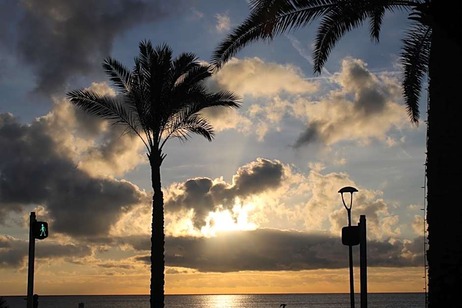 Hôtel La Villa des Oliviers