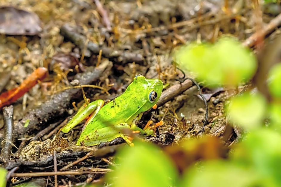 Hostel e Camping Rio das Pedras