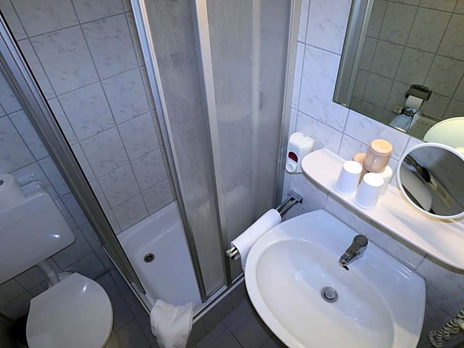 Hotel - Restaurant Hirschen - Werneths Landgasthof beim Europa- Park Rust