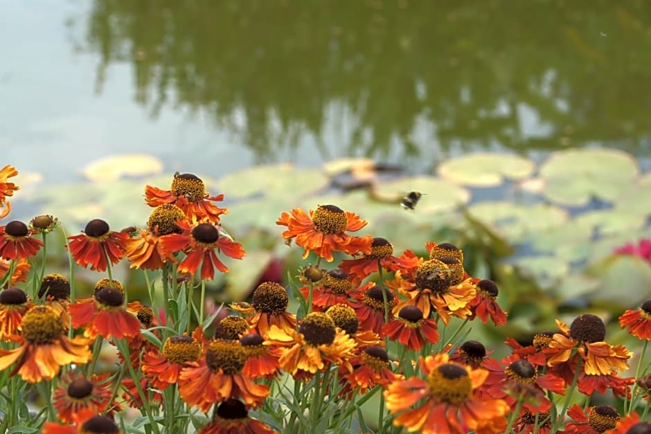 Chambre D'hotes Le Clos Fleuri