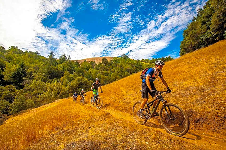 Hotel Delle Ortensie