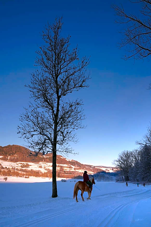 Gasthof Hirschenwirt