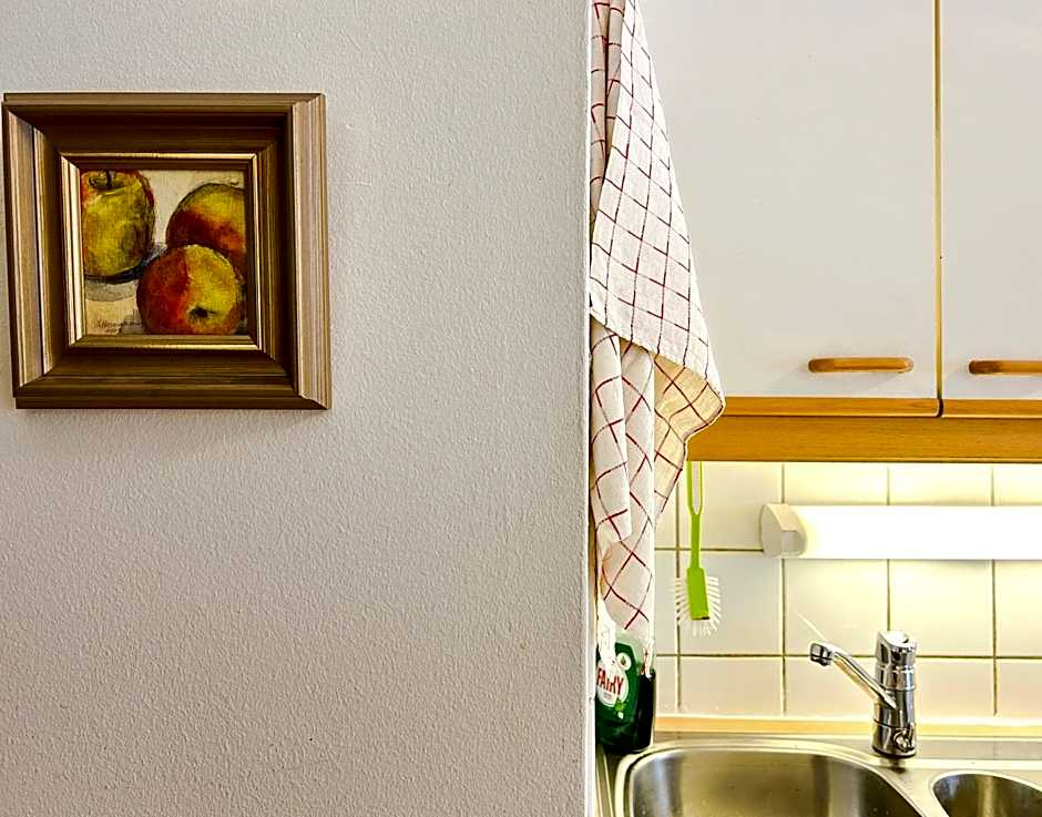 Tilava huoneisto Keuruun keskustassa