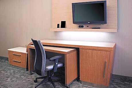 King Suite with Sofa Bed