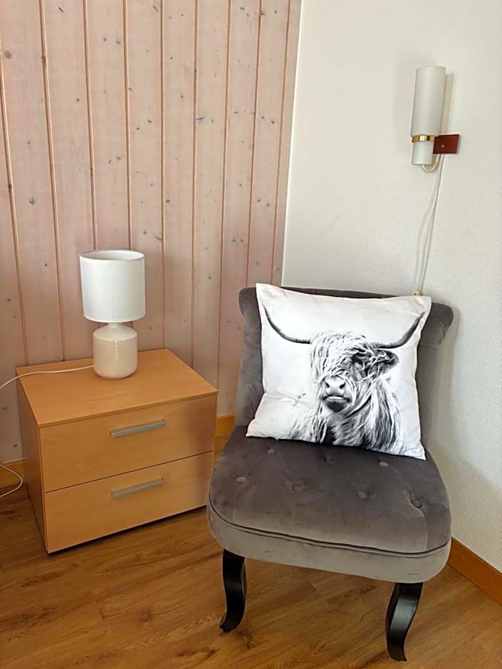 Alpina Boutique Hotel Interlaken - Ringgenberg - Adults only !