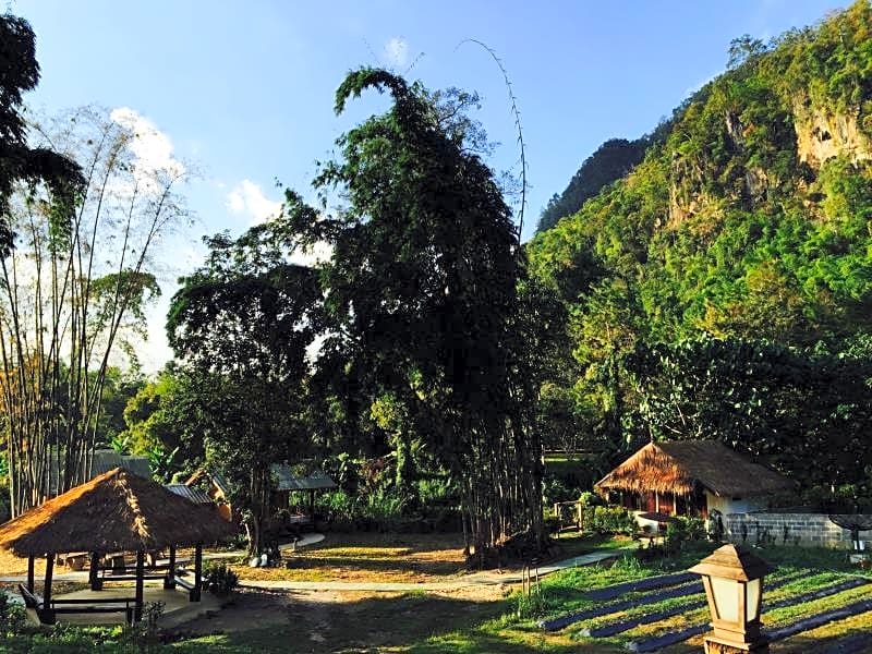 Chiang Dao Hut