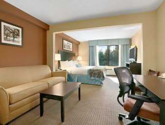 1 King Bed Studio Junior Suite Non-Smoking