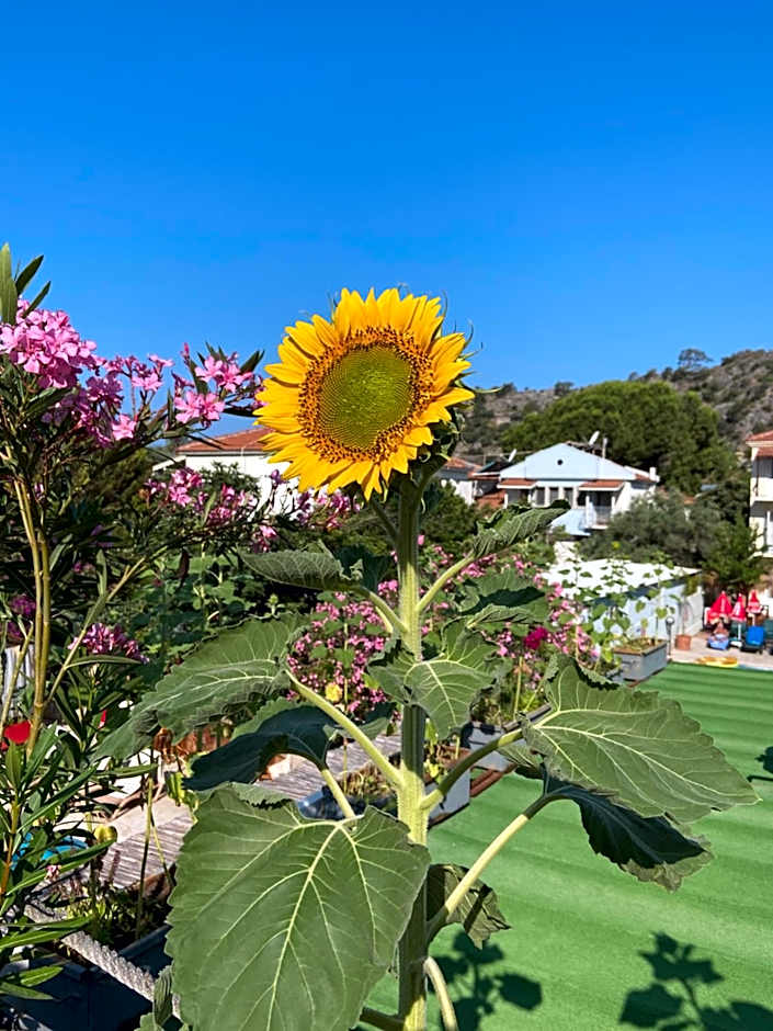 On Oda Oludeniz