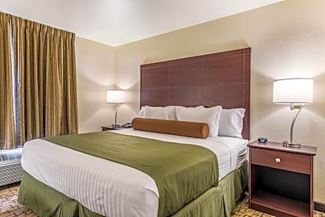 King Studio with Sofa Bed - Accessible