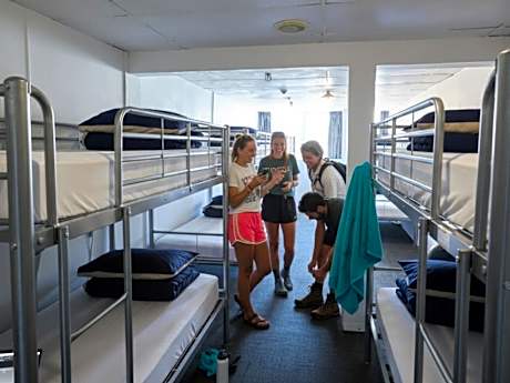 Bed in 14-Bed Mixed Dormitory Room
