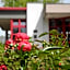Rosen-Hotel