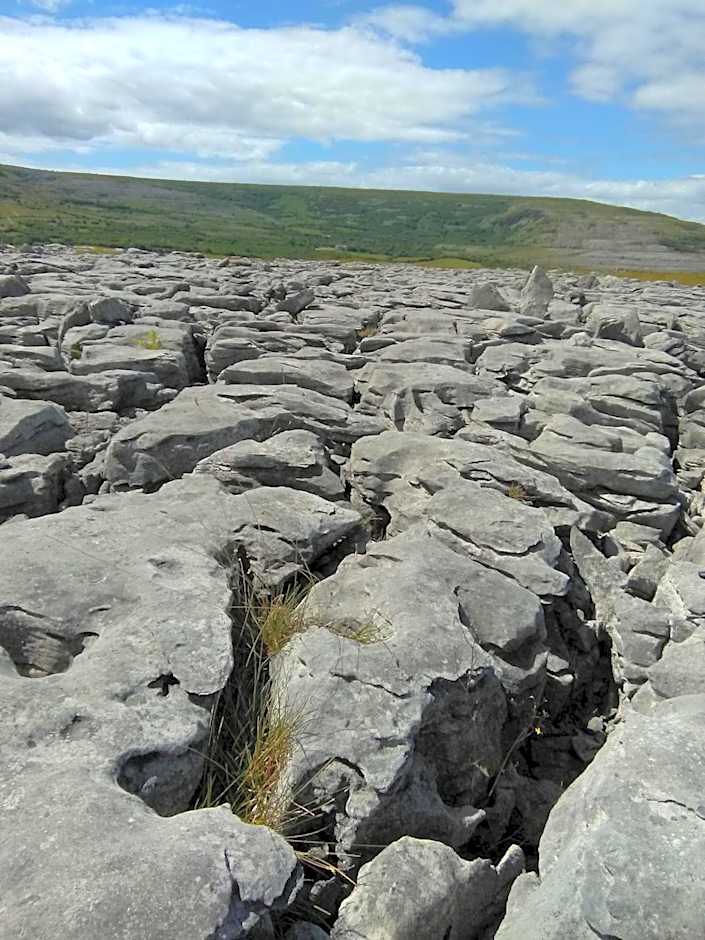 Burren Rock Farmhouse B&B