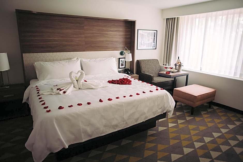 Holiday Inn Tlaxcala By IHG