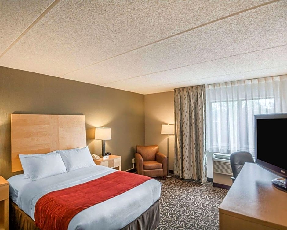 Comfort Inn - NYS Fairgrounds
