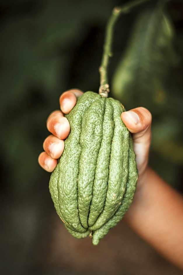 Ottmanngut Suite and Breakfast