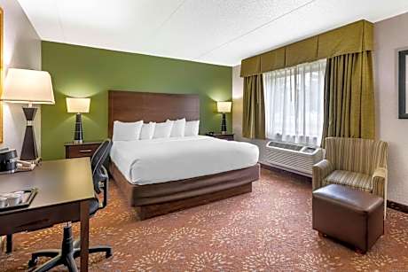 King Room with Bath Tub - Mobility Accessible/Non-Smoking