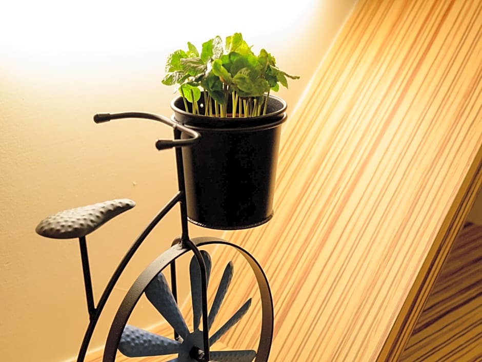 Beautiful Dream Tainan Homestay