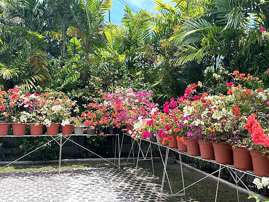 Veance Travellers Inn-Pabuas extension