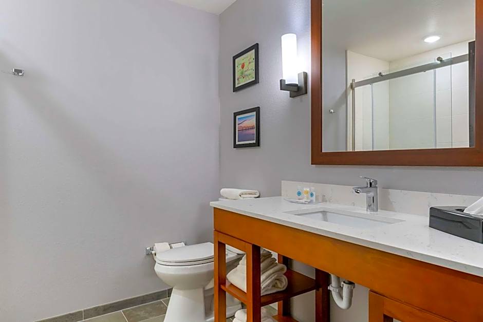 Comfort Suites Paducah Mall Area