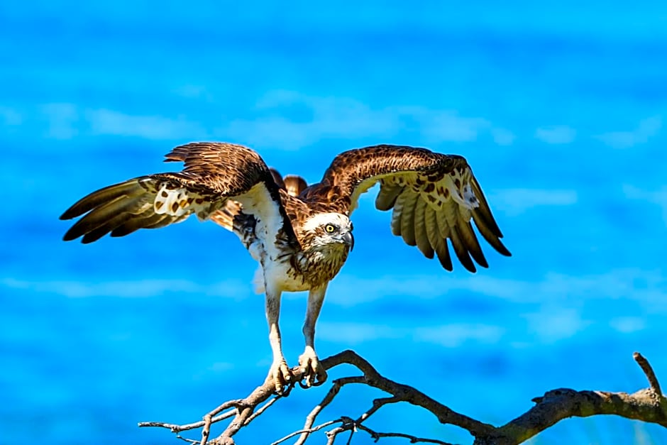 Lakeside Cabins & Holiday Village