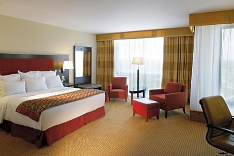 Jule pillo hotel best sale