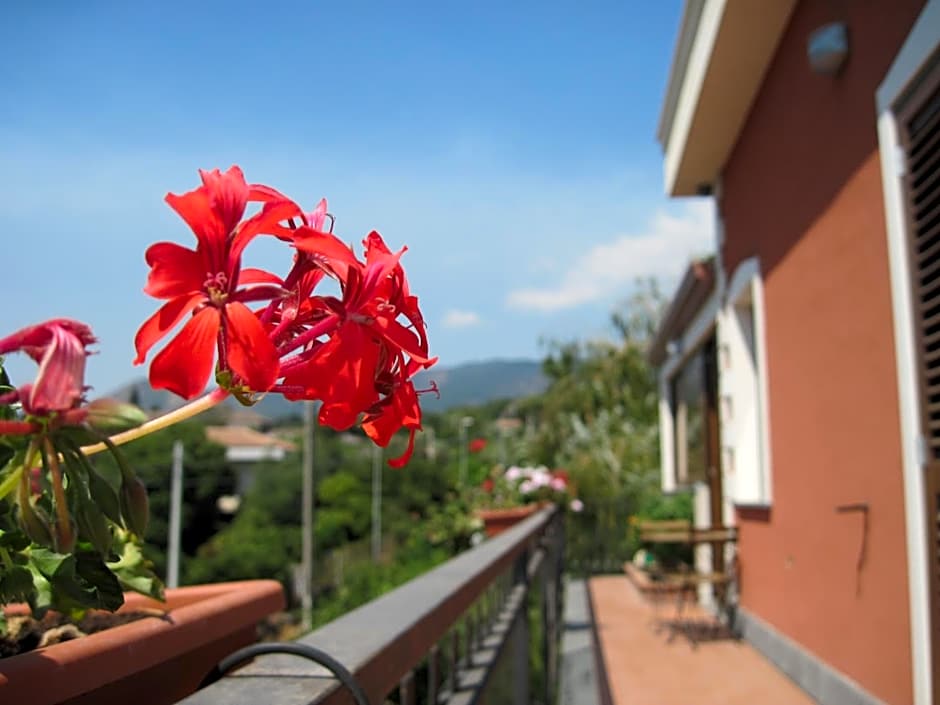 Anthea Dell' Etna
