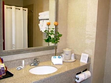 Holiday Inn Express Hotel & Suites Lafayette