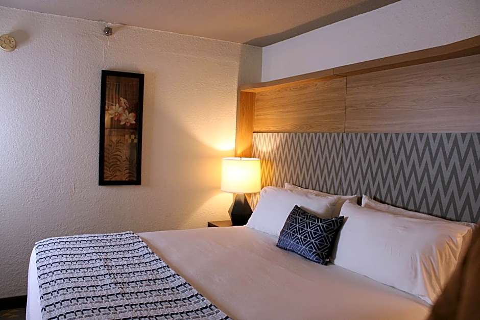 Wyndham Flint MI/Grand Blanc/Bishop Airport/Conference Ct