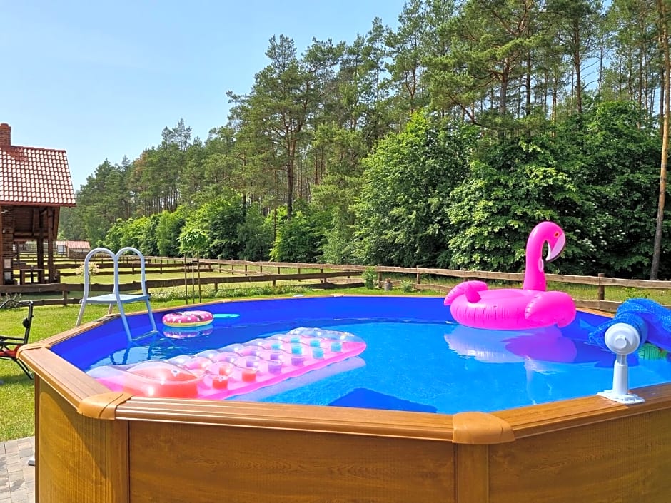 Domek z basenem nad jeziorem Gwiazdy, Ostoja Bukowo, Kaszuby