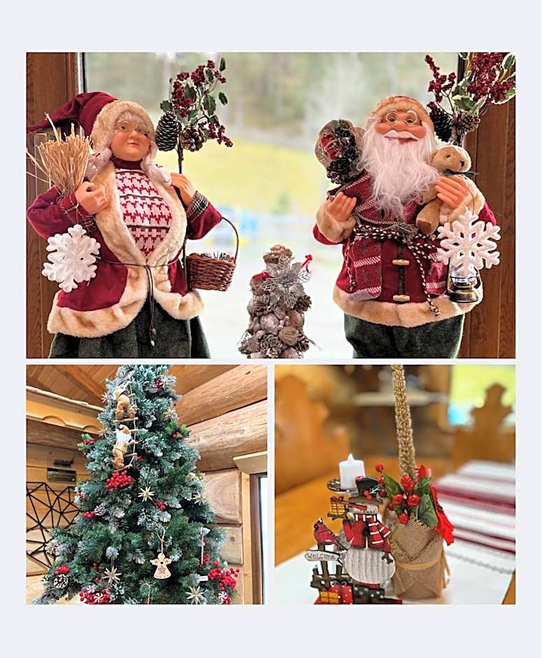 Pensiunea Mireasma Bucovinei