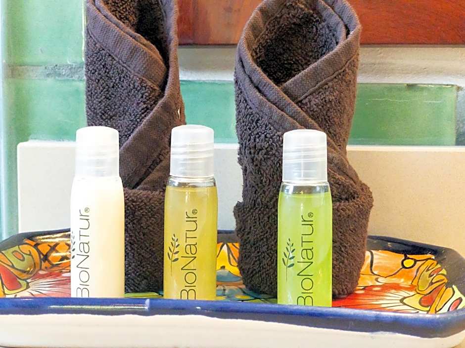 Casa Zarah - Hacienda Family Home - Pool and 2-Block to Beach