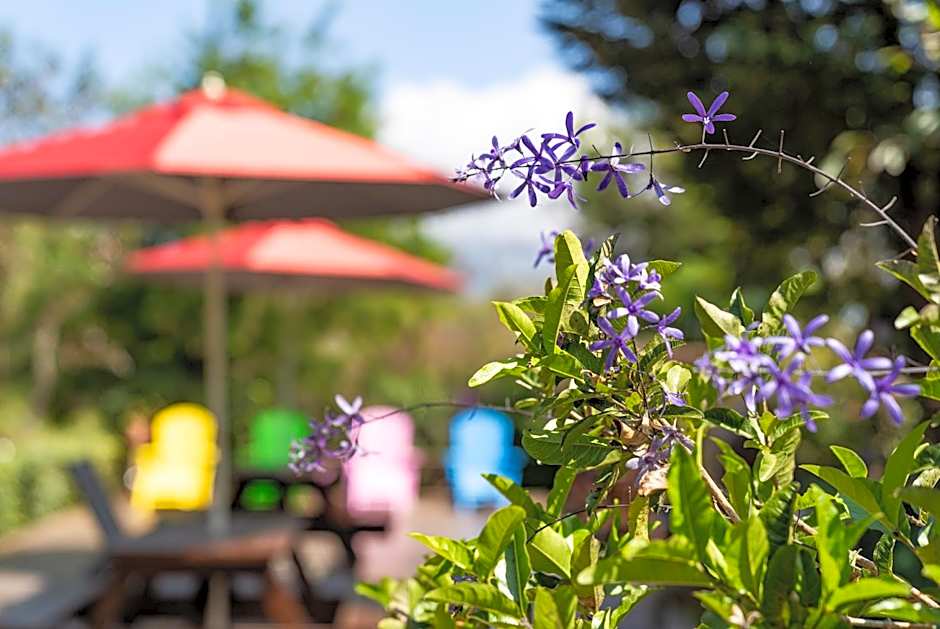 Julie's Garden, Cingjing - Fon Chin Homestay