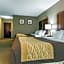 Comfort Inn & Suites South Bend