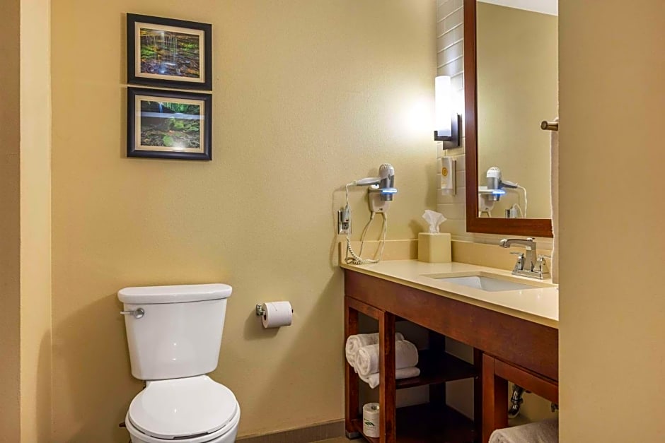 Comfort Inn & Suites At CrossPlex Village