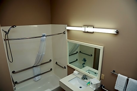 1 King Bed Kitchenette Suite NS