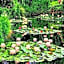 Forest Farm