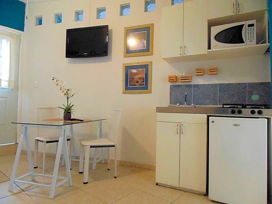 Satya Suites & Portal San Angel Flats