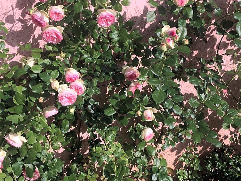 Rose Garden Mezzanine