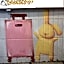 tourist Bunny Hostel
