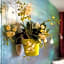 Abalon Hotel ideal