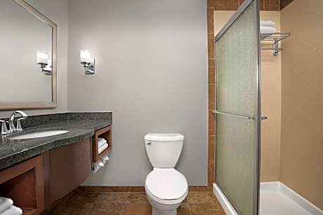 Standard Double Room with Walk In Shower