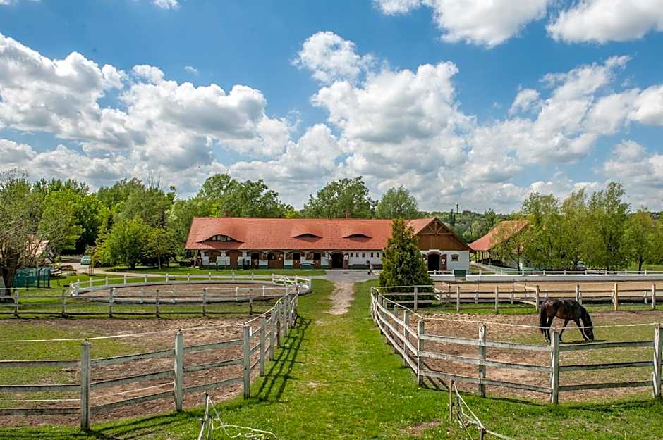 Club Dobogómajor superior